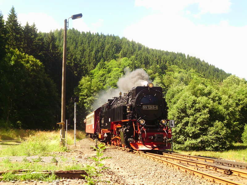 2013 Harz 14