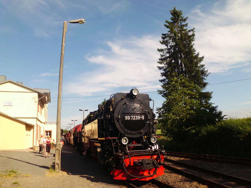 2013 Harz 16