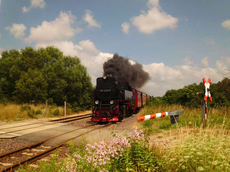 2013 Harz 18