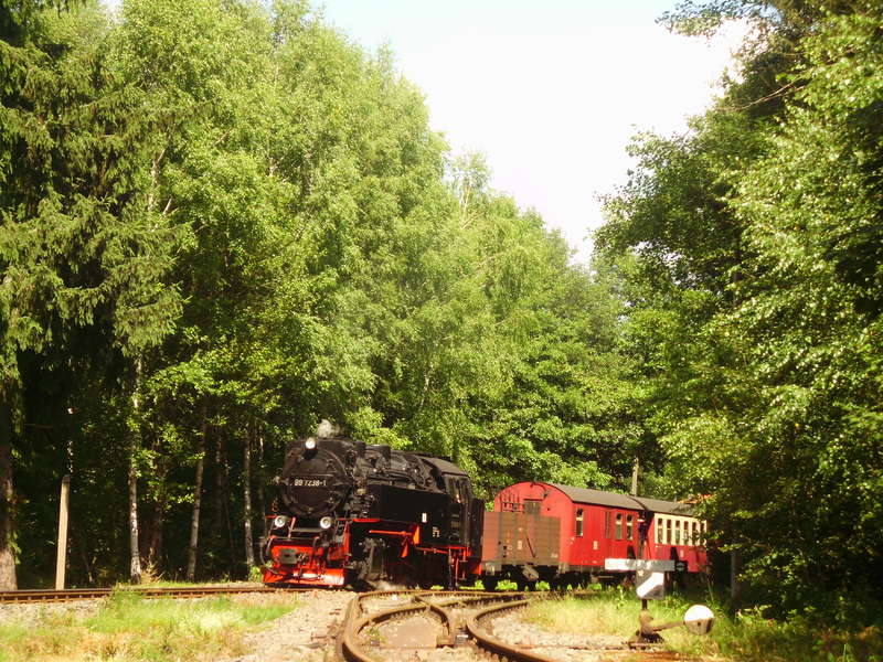 2013 Harz 19