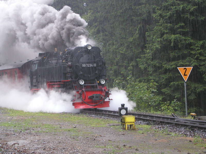 Harz 2011/06