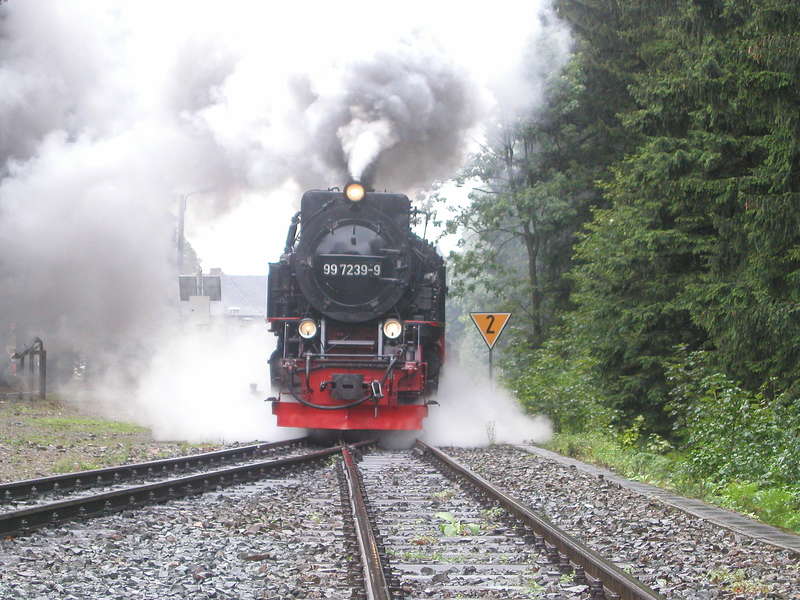 Harz 2011/07