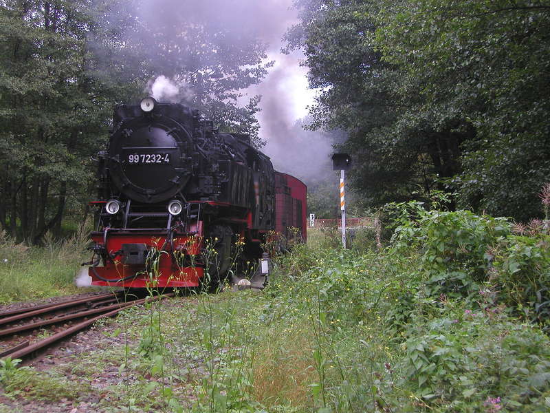 Harz 2011/04