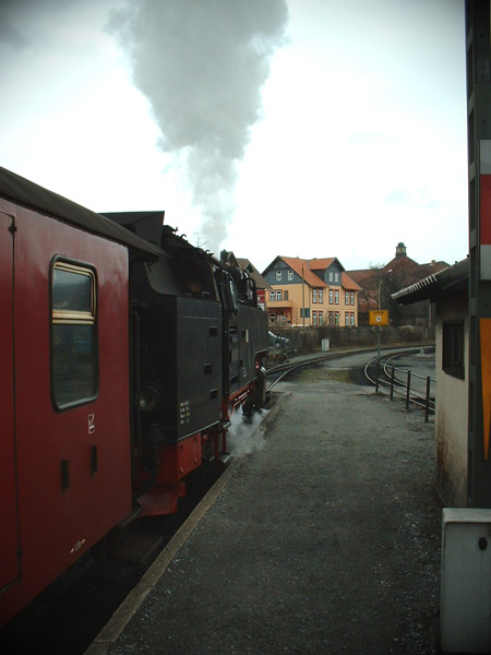 in Wernigerode