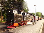 4003DSCI3802.JPG