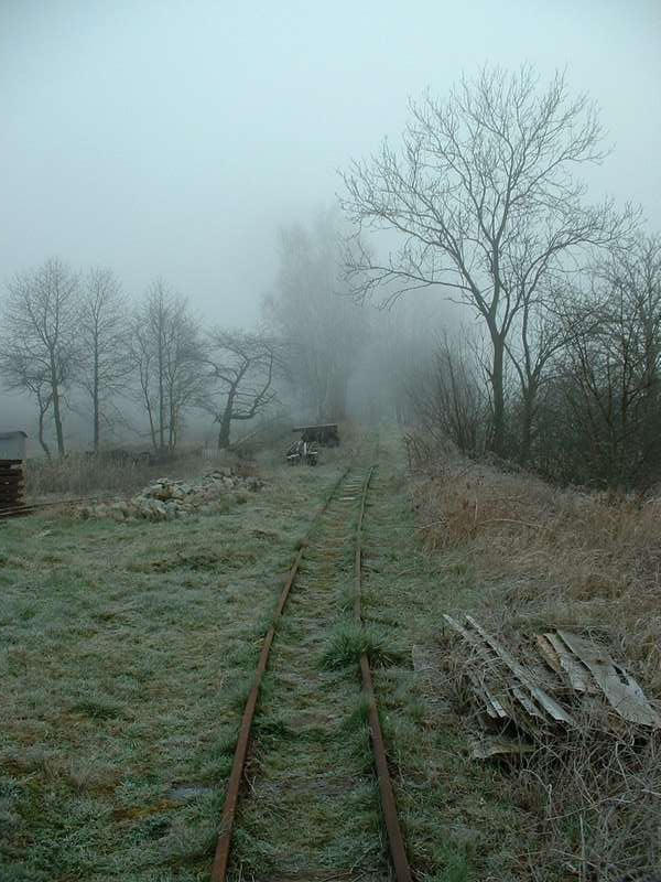 Feldbahn in Putbus