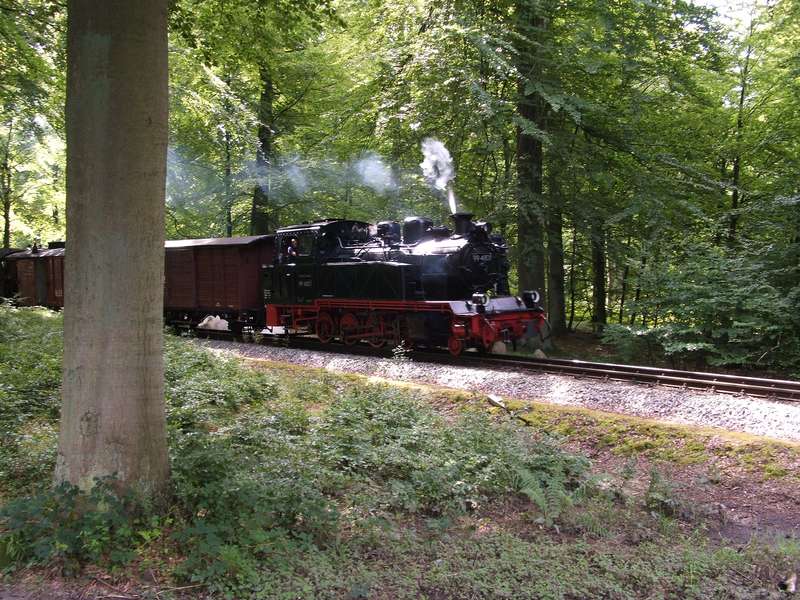 99 4801 ausfahrt Jagdschloss