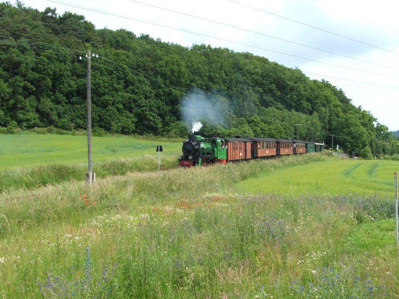 53 Mh mit Traditionszug