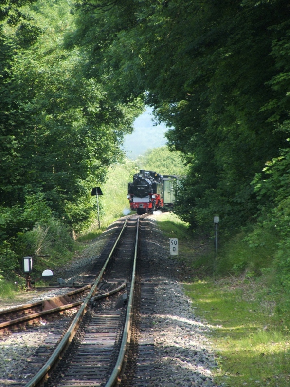 99 784 unterwegs kurz vor Garftitz
