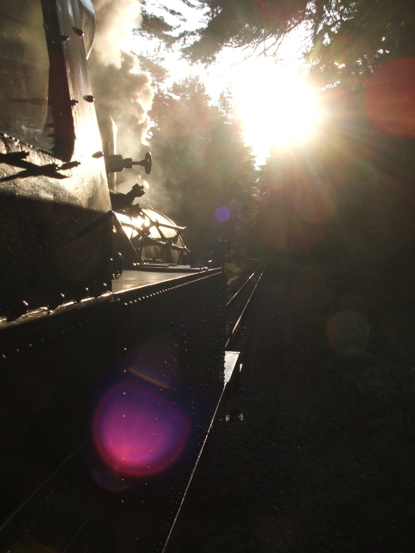 der Sonne entgegen