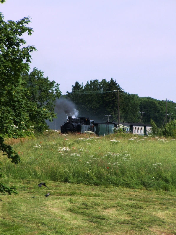 99 782 zwischen Putbus und Lauterbach