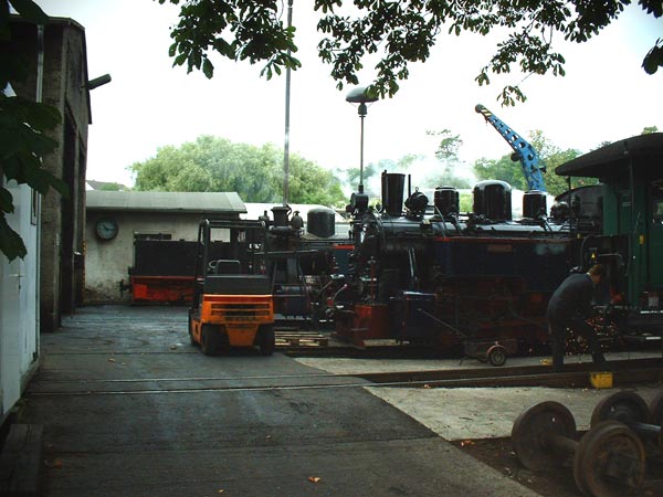 3 ex. Heeresfeldbahnloks im BW Putbus