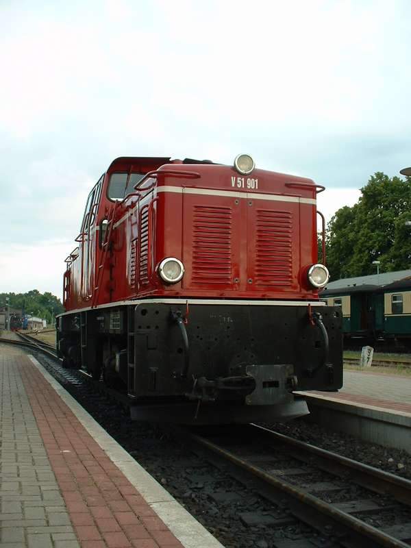 V51