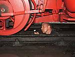 80DSCF1734.JPG