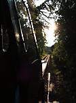 80DSCF4893.JPG