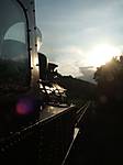 80DSCF4895.JPG