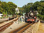 80DSCF5077.JPG