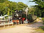 80DSCF5079.JPG