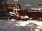 80DSCF5145.JPG