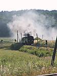 80DSCF5148.JPG