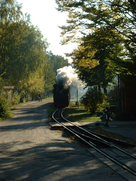 99 3317 der WEM