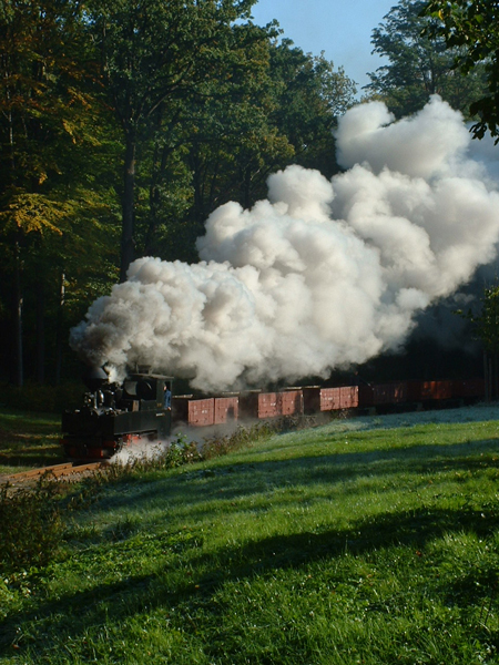 99 3317 der WEM
