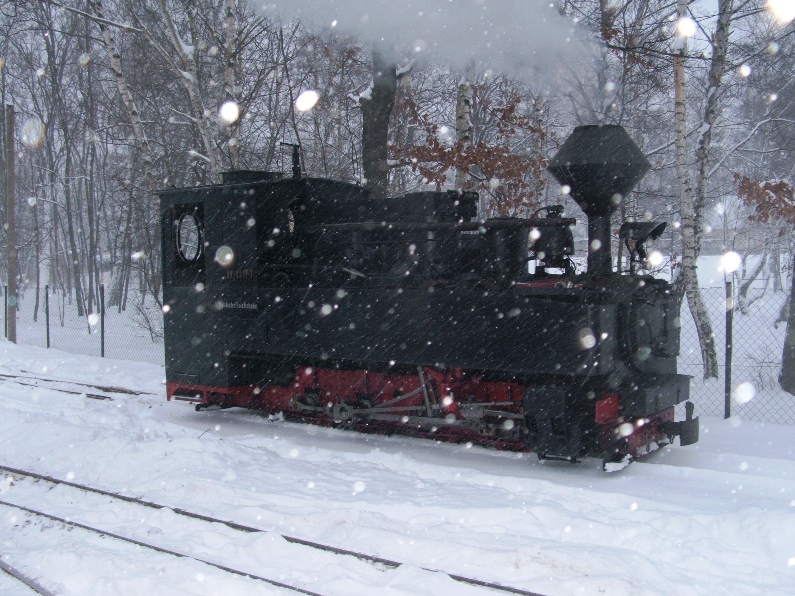 Winterdampf