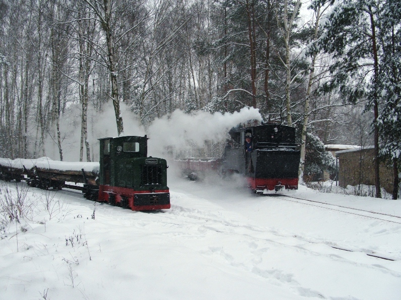Winterdampf