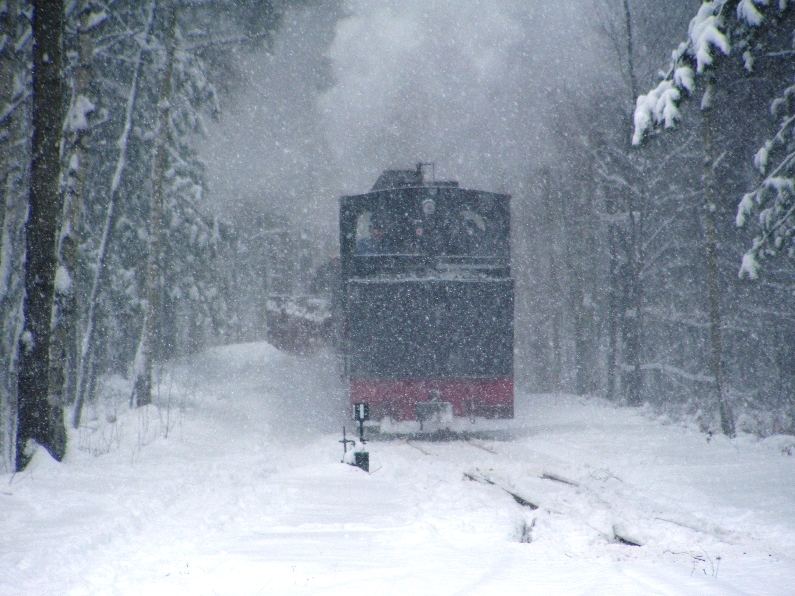 Winterdampf