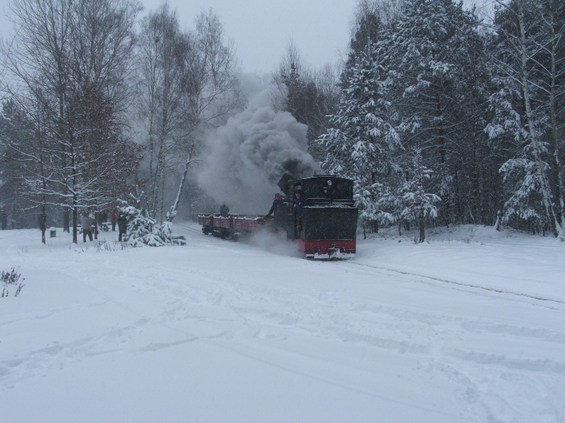 Winterdampf