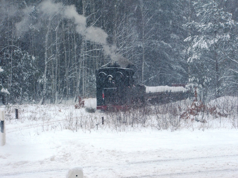 Winterdampf