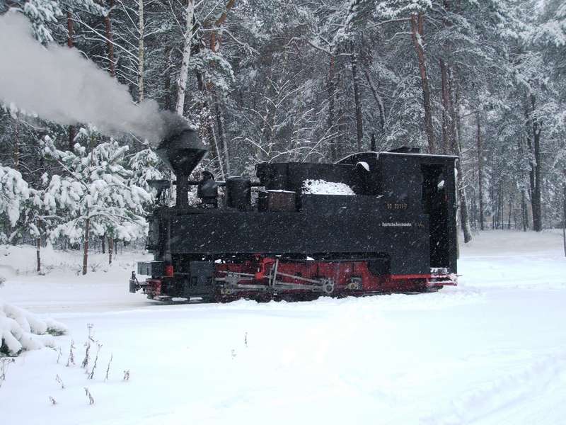 Winterdampf