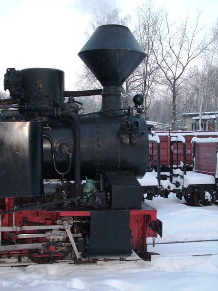 Winterdampf
