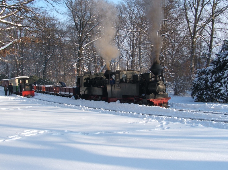 Winterdampf