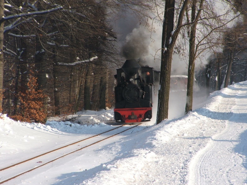 Winterdampf