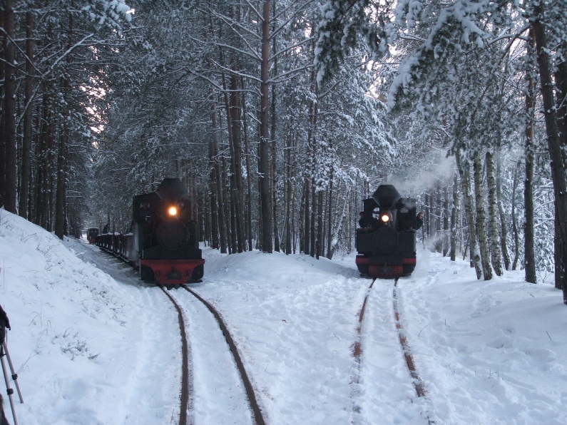 Winterdampf