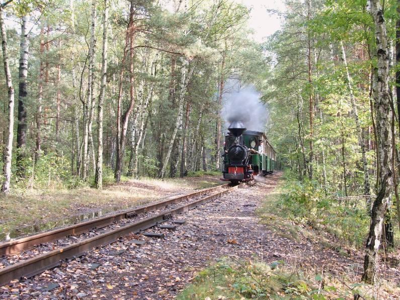 Herbstdampf 2006