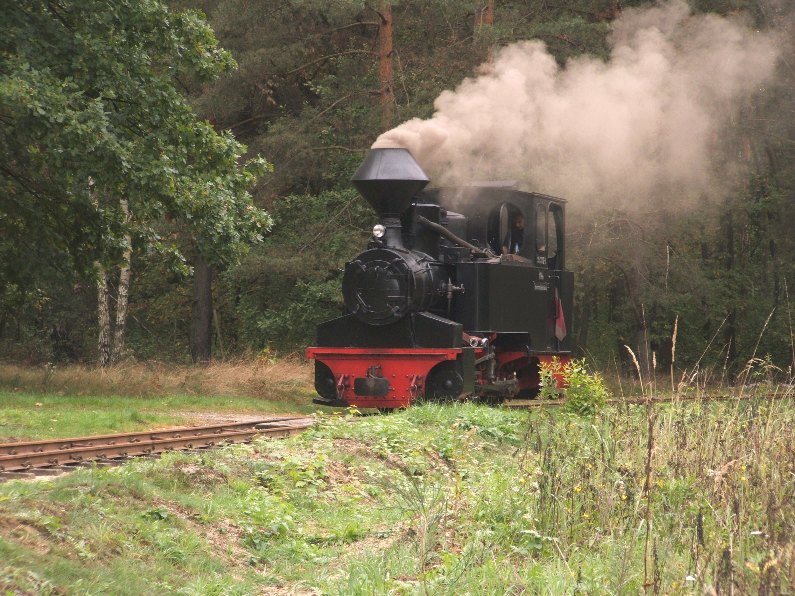 Herbstdampf 2006