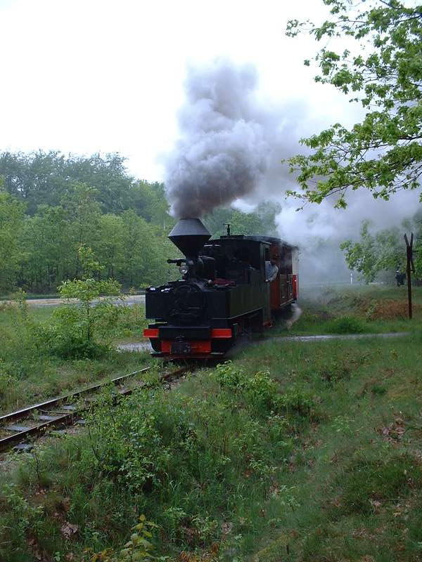 99 3317 der WEM