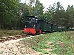 80DSCF5352.JPG
