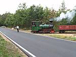 80DSCF5364.JPG