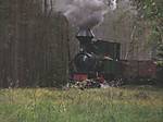80DSCF5392.JPG
