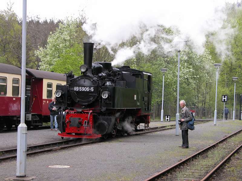 99 5906 in Alexisbad