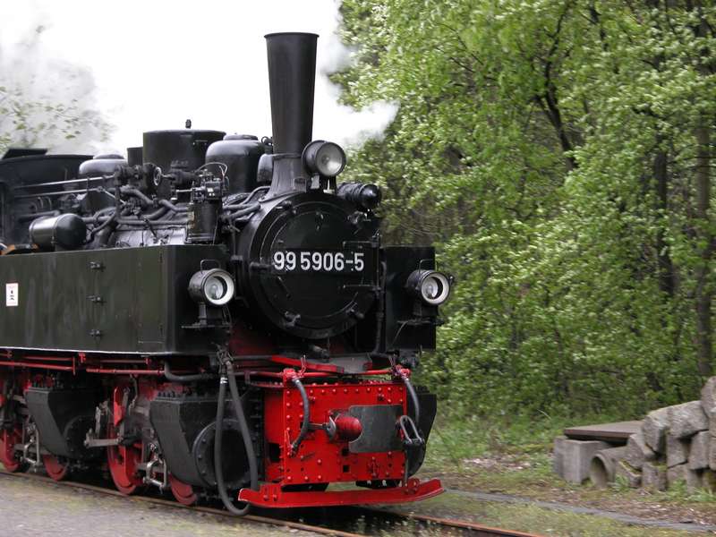 99 5906 in Alexisbad