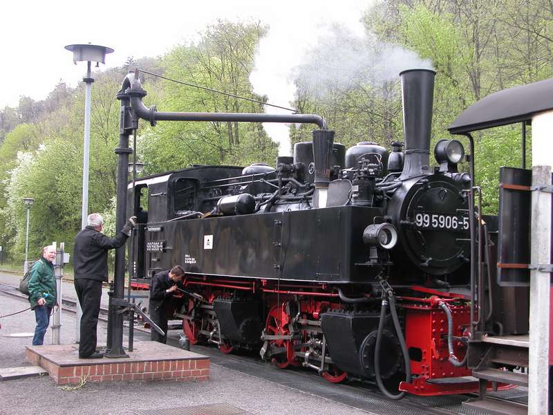 99 5906 in Alexisbad