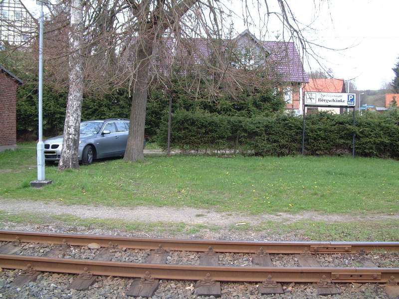 Birke von Strassberg / Teilaufnahme