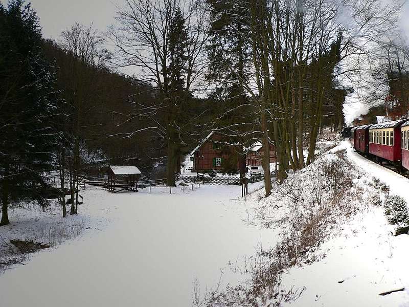 Winter im Selketal