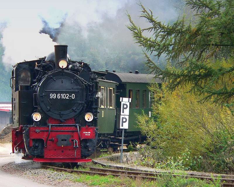  Selketalbahn im Herbst