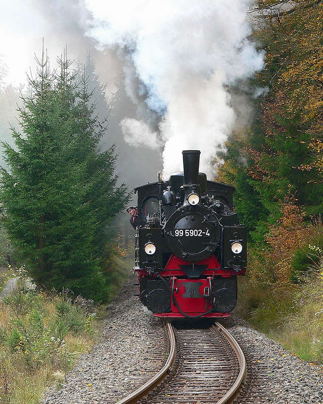  Selketalbahn im Herbst