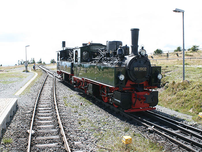 Umsetzen auf dem Brocken